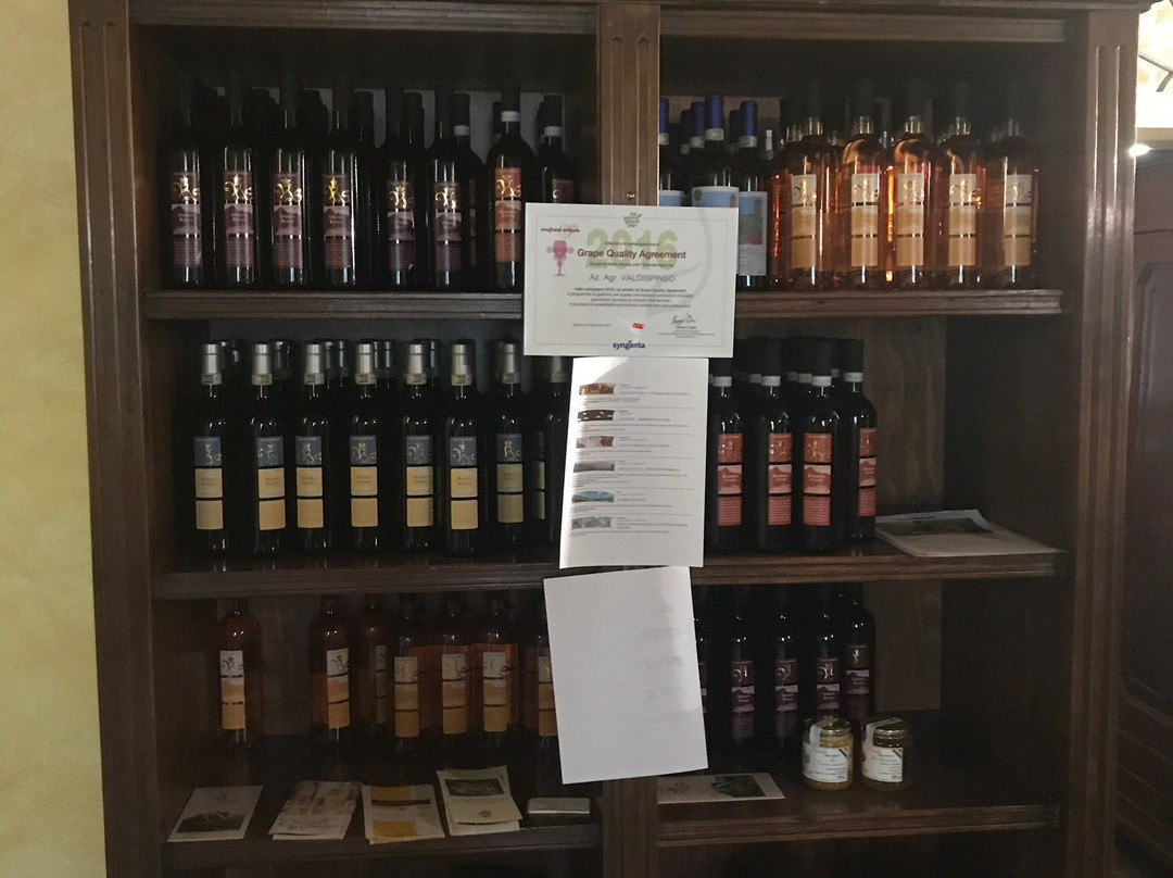 Agriturismo Valdispinso主图