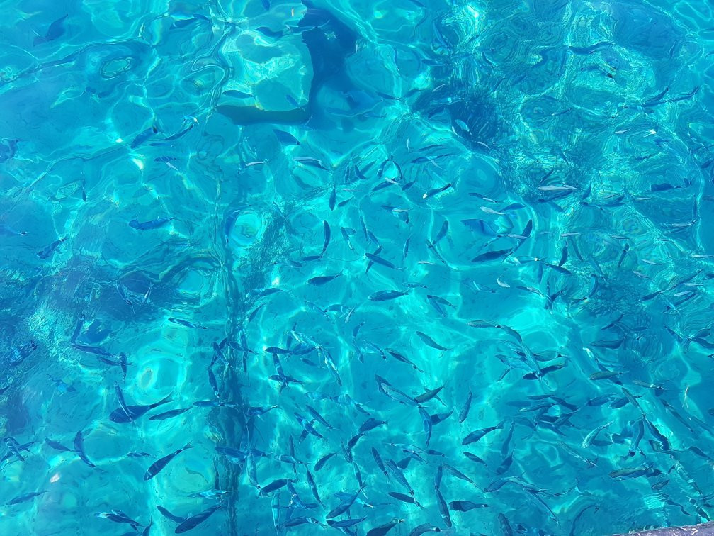 Plieski景点图片