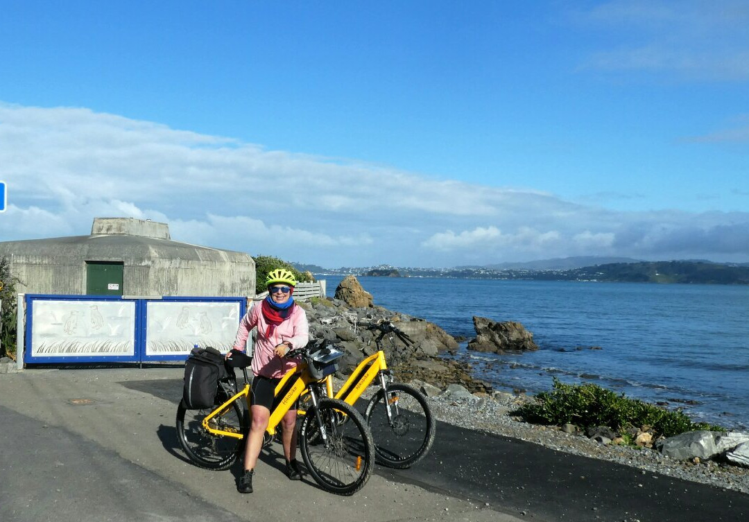 Cycle Remutaka-下赫特必去景点