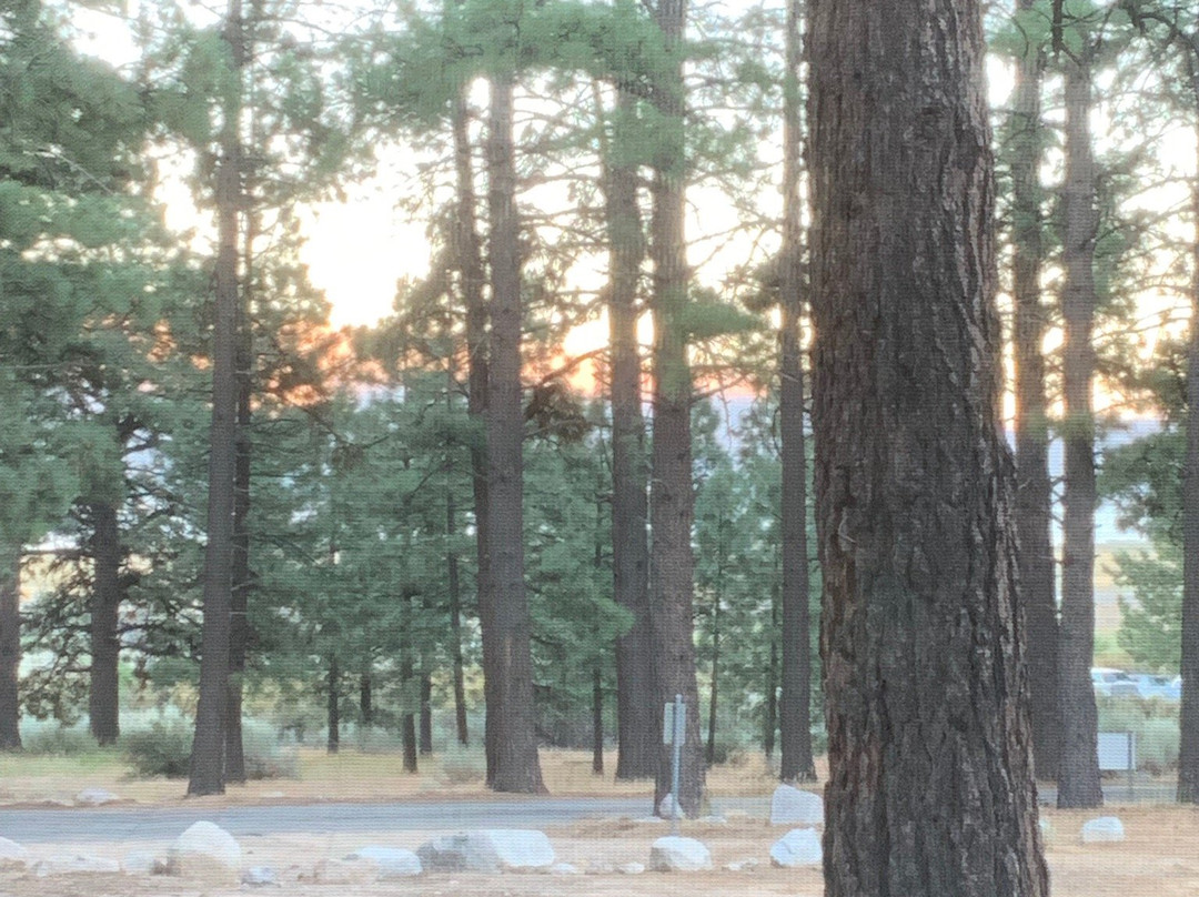 Davis Creek Campground