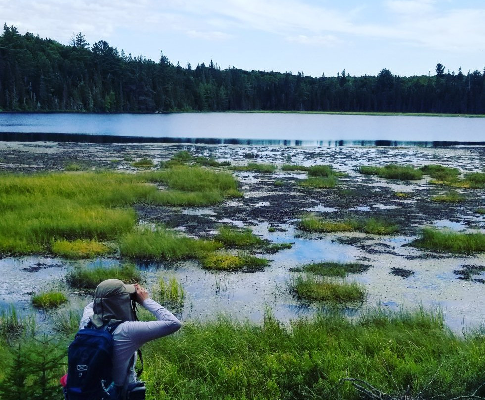 Mizzy Lake Trail景点图片