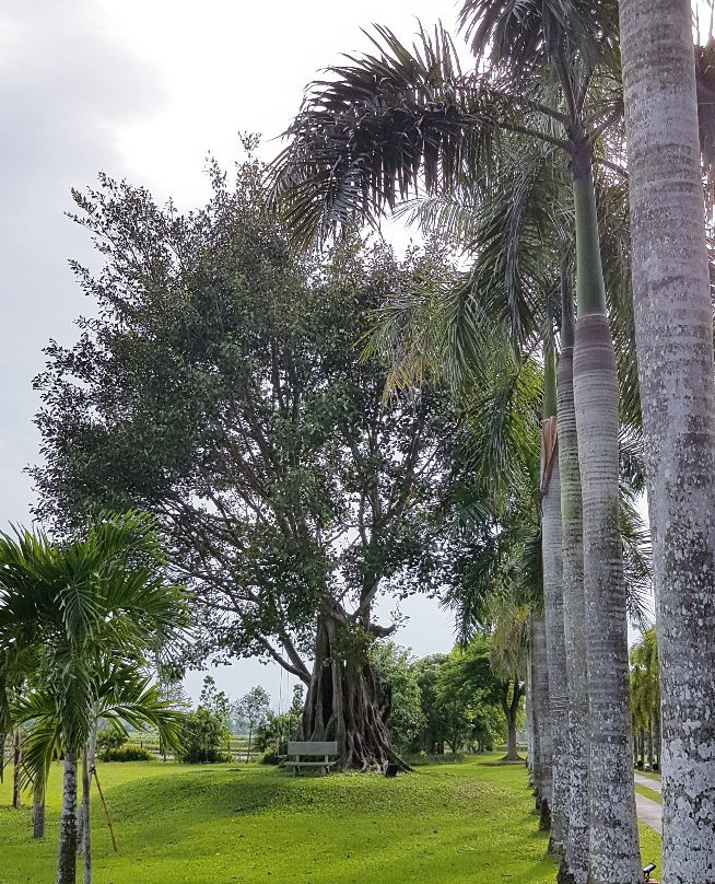 莱斯阿莫德伊东方酒店主图