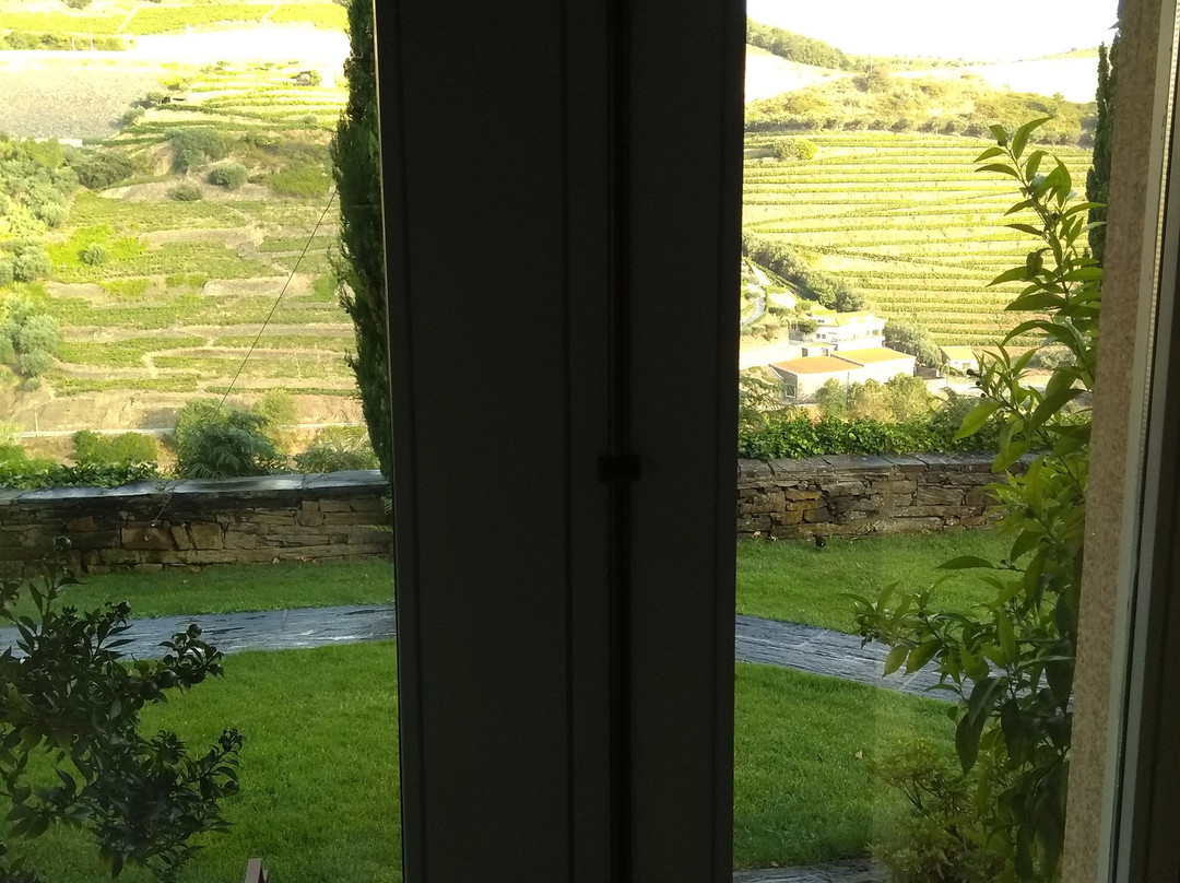 Quinta do Vallado主图