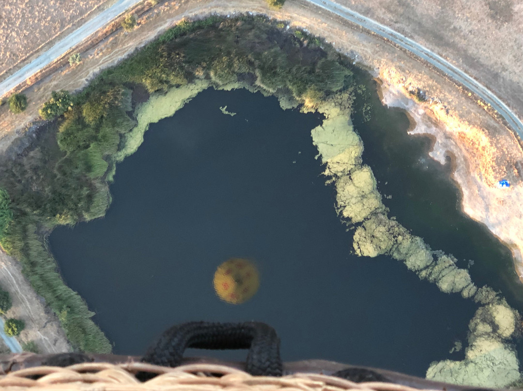 Sonoma Ballooning Adventures景点图片