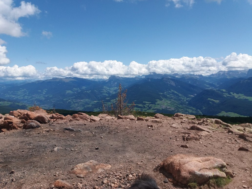 Bergbahn Rittner Horn - Cabinovia del Corno del Renon景点图片