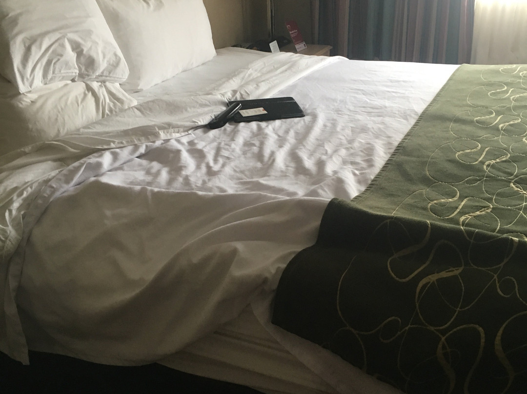 Comfort Suites Humble Houston North主图