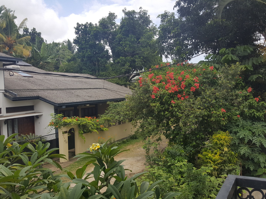 Hotel Capital O 249 Elephant Bath Hotel主图