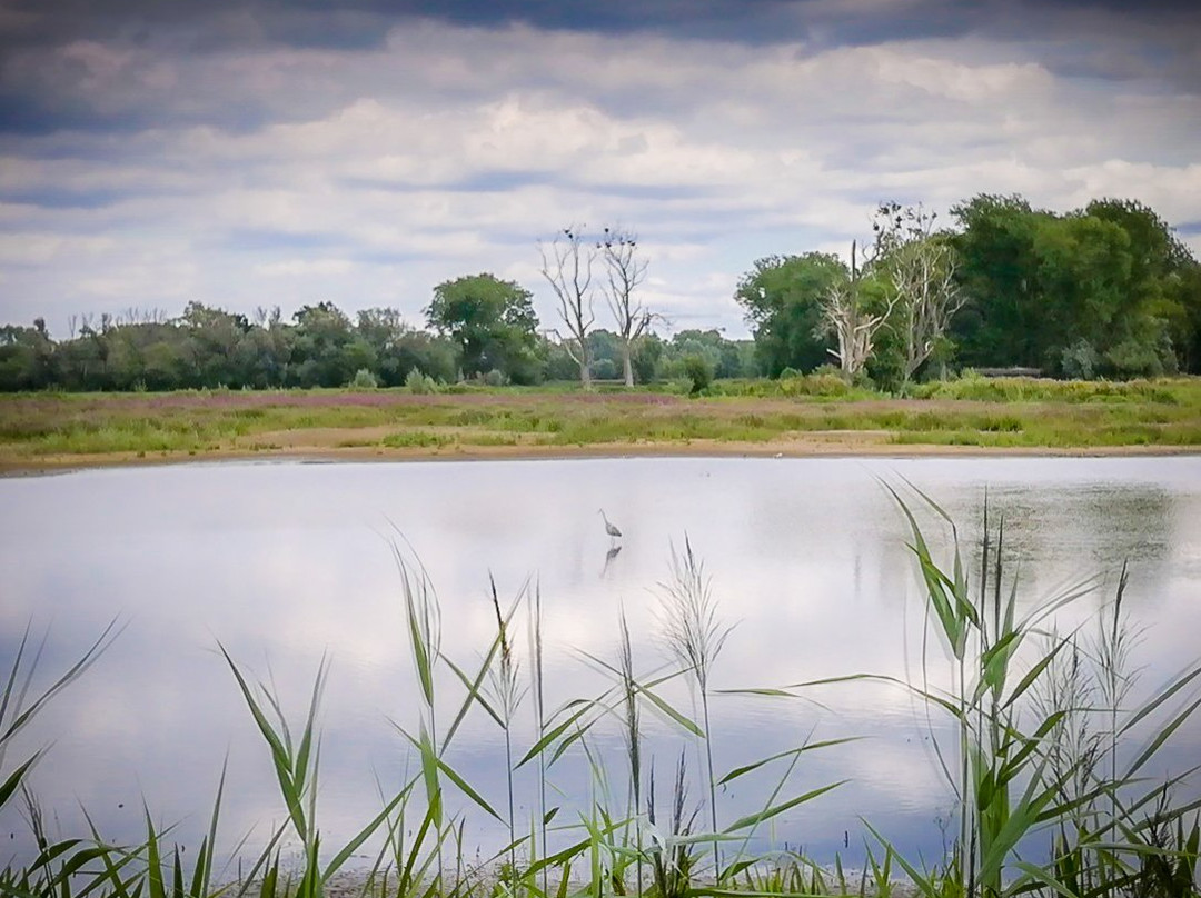 Bourgoyen-Ossemeersen Nature Reserve景点图片