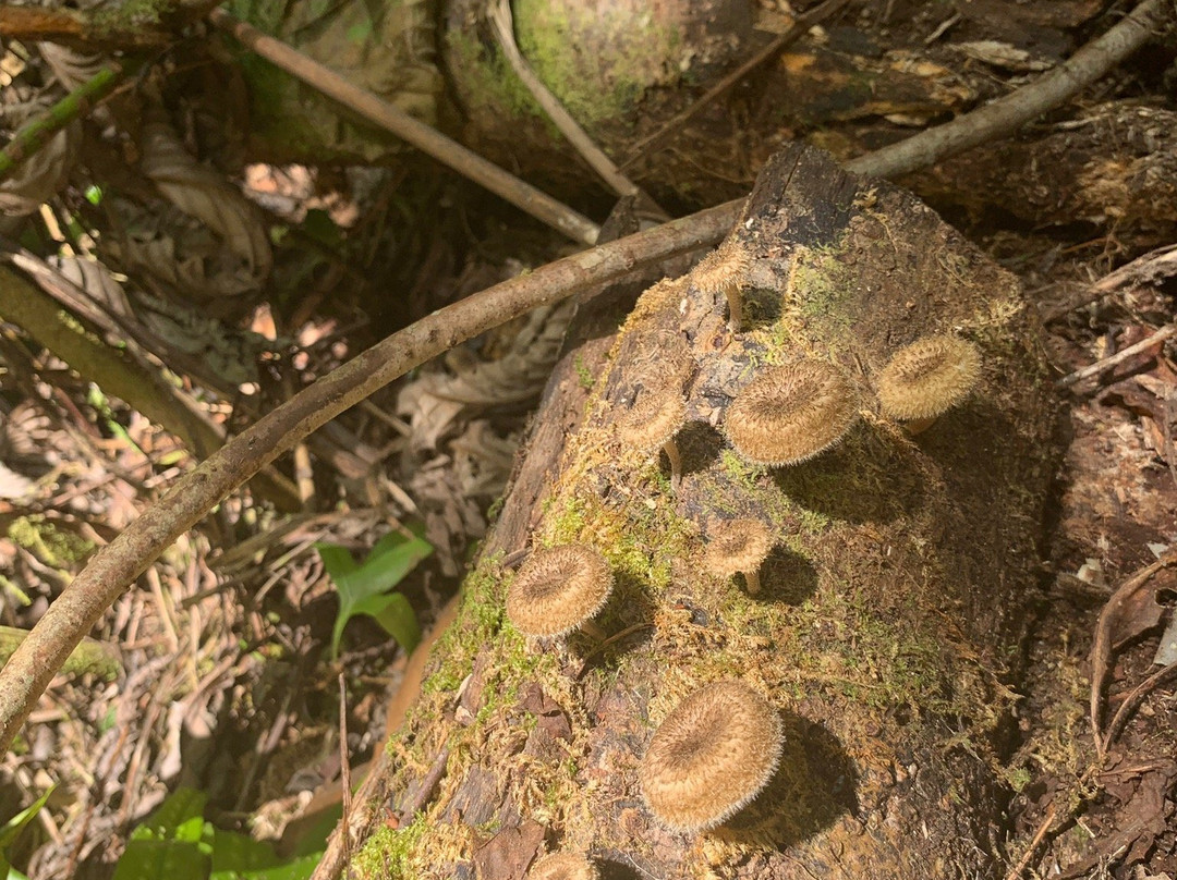 Haena Beach Trail-可亚奥必去景点