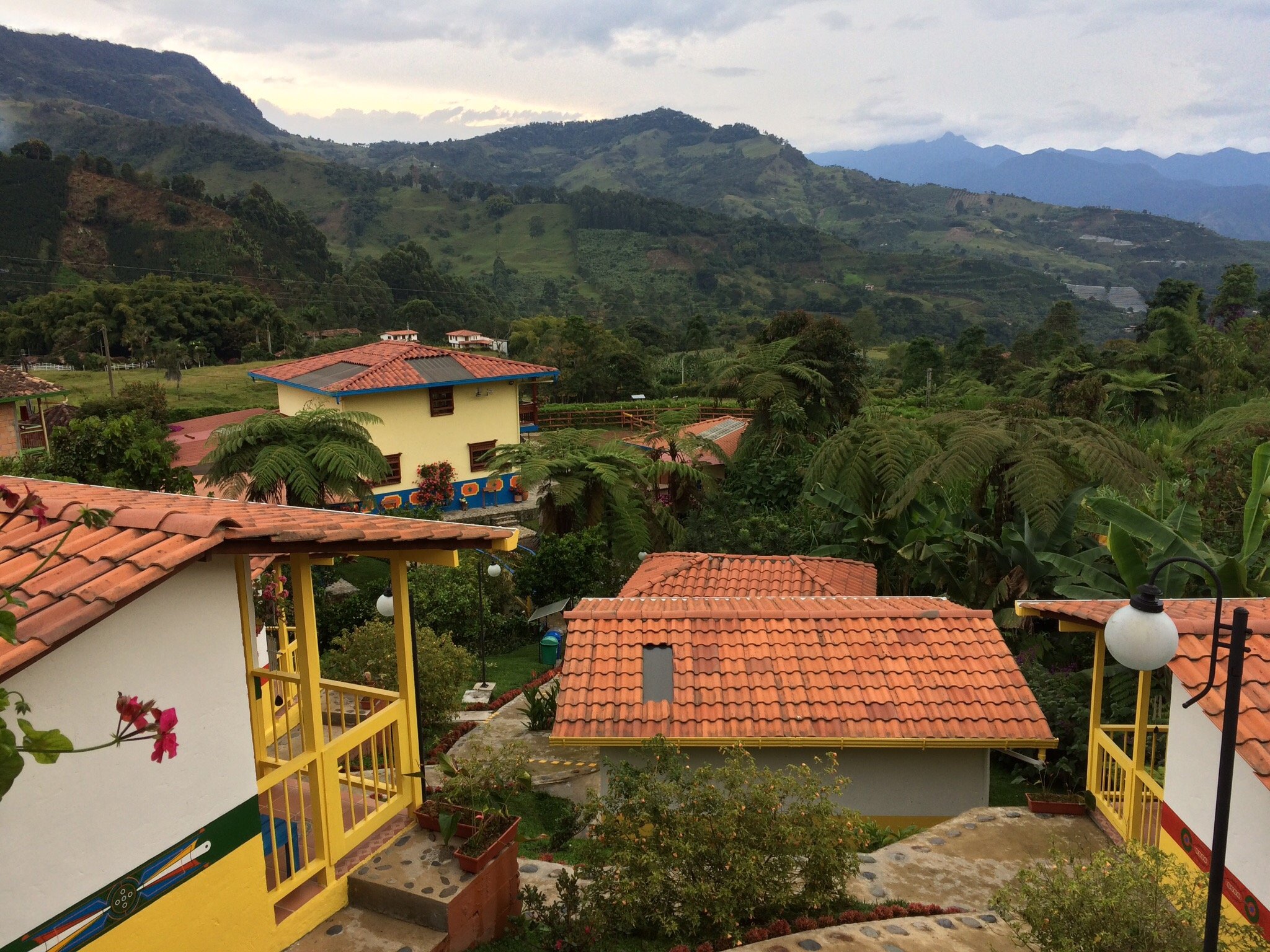 La Divina Providencia-官方