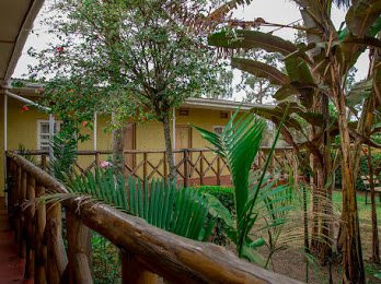 Little Woods Inn主图