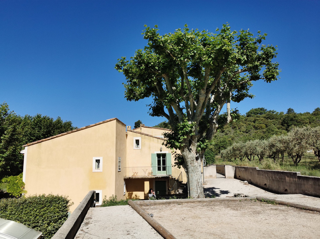 Chateau Font Alba主图