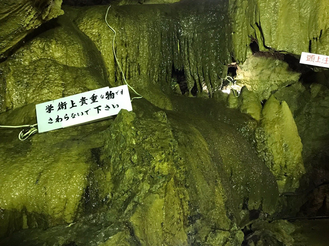 Otaki Limestone Cave景点图片