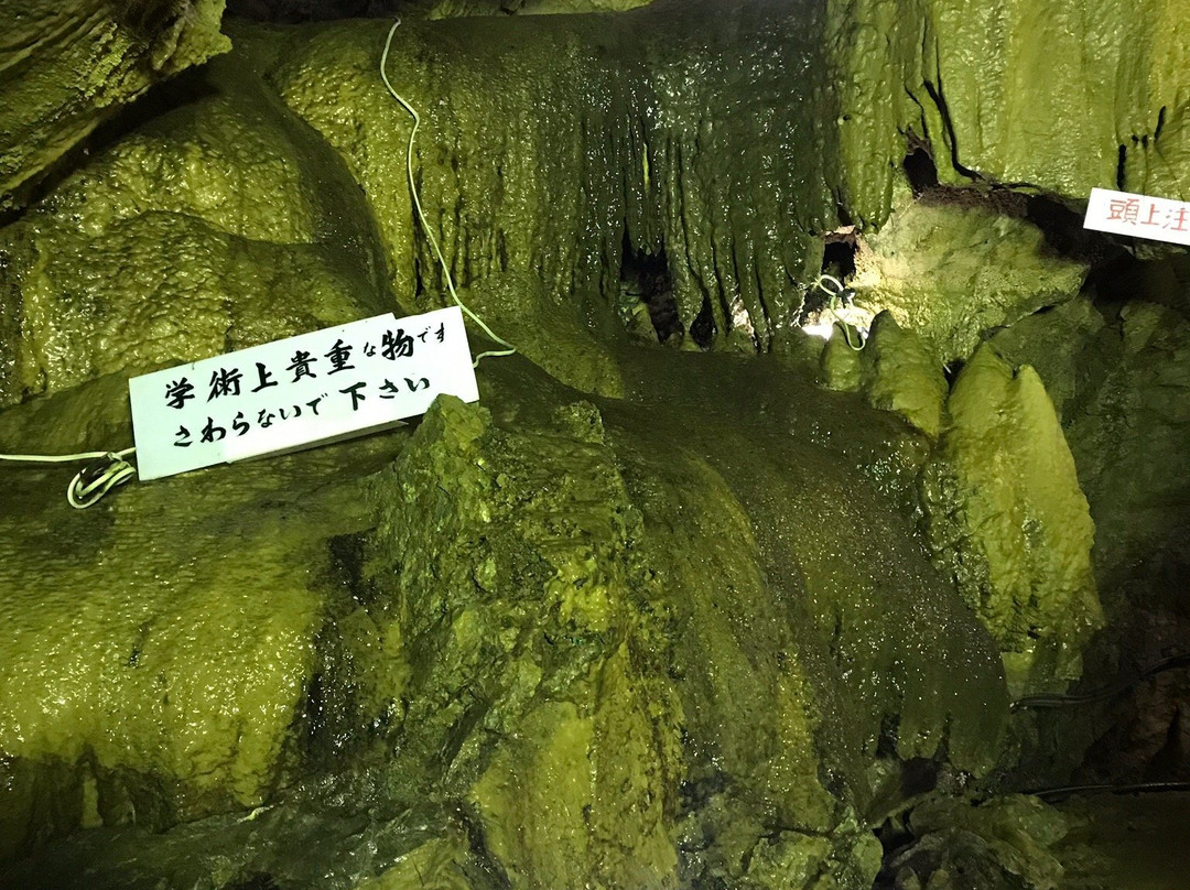Otaki Limestone Cave-郡上市必去景点