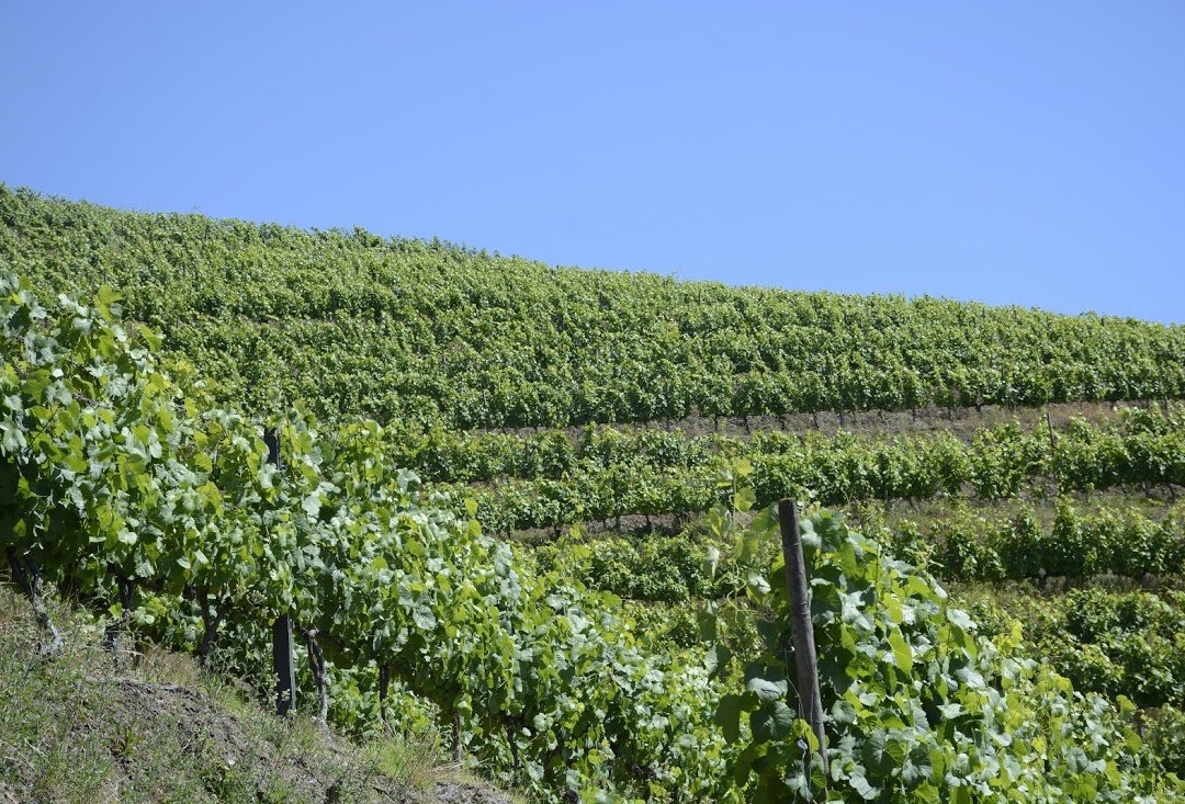 Quinta do Vallado主图