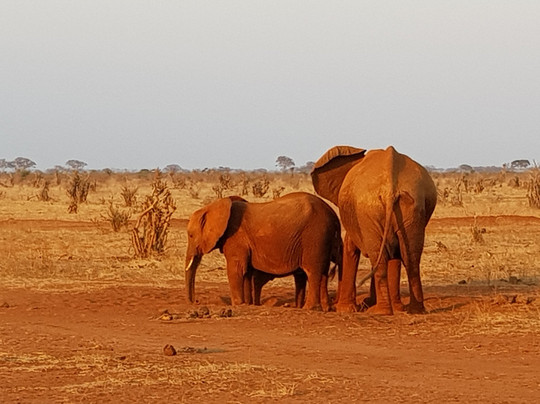 Tripskenya-瓦塔木必去景点