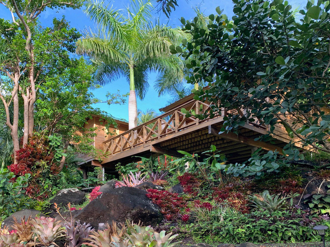 Herreras酒店住宿-Yuquiyu Treehouses