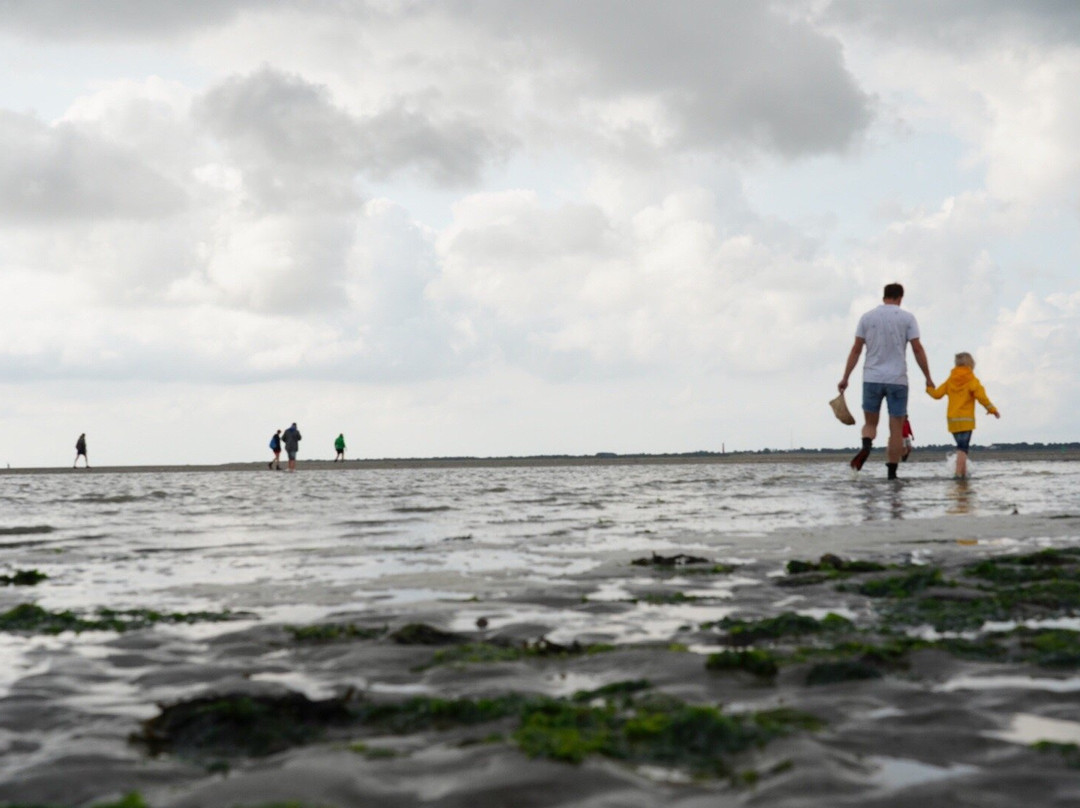 Nationaal Park Schiermonnikoog-Schiermonnikoog必去景点