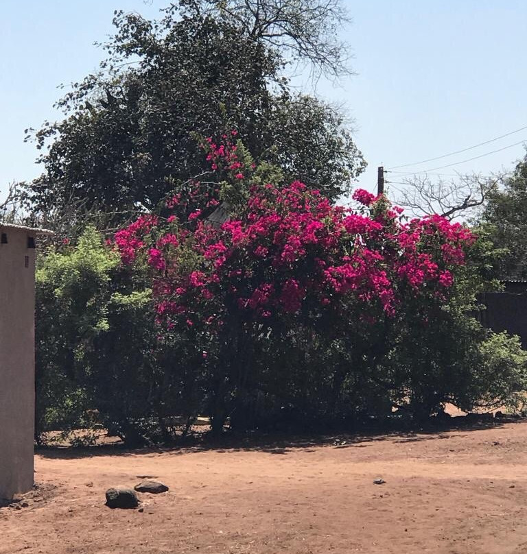 Mukuni Village景点图片