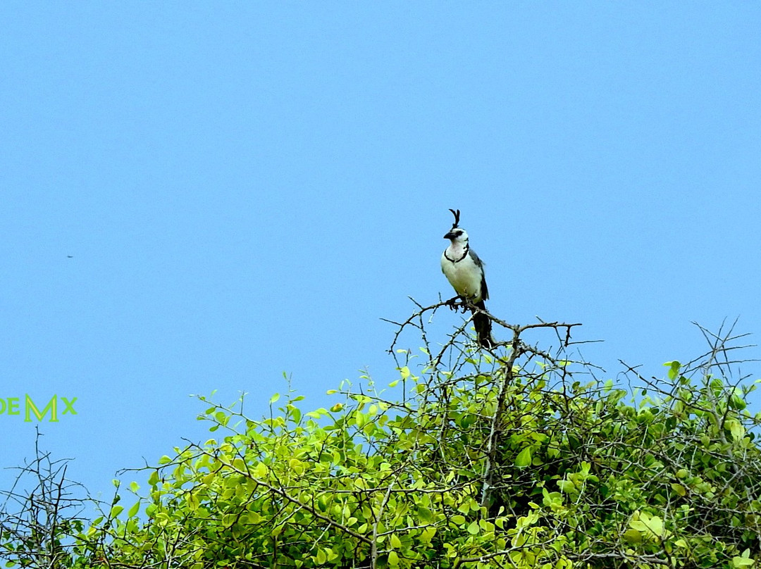 Huatulco National Park-瓦图尔科必去景点