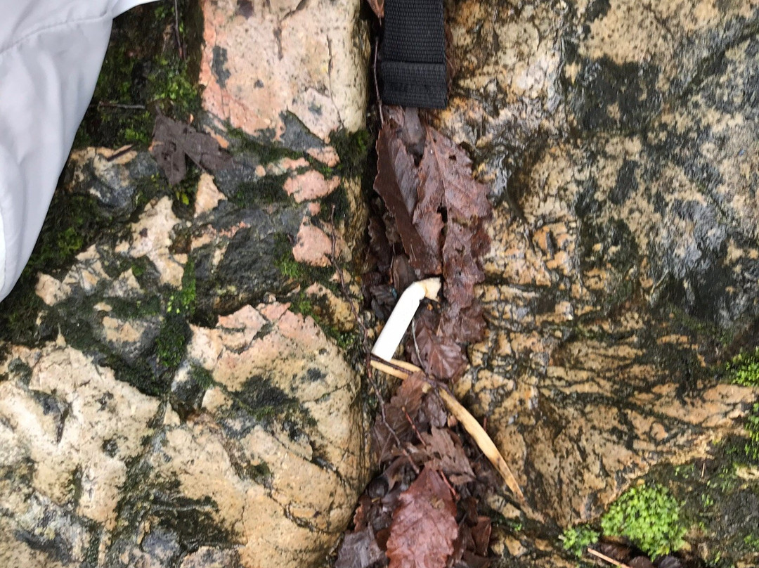 Peumayen Lodge & Termas Boutique主图