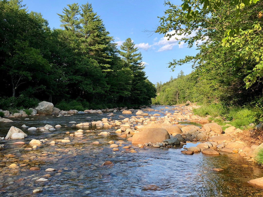 Crawford Notch General Store and Campground主图