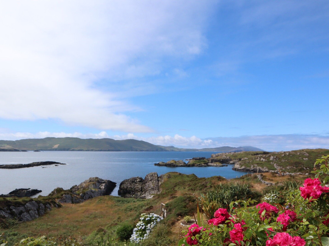 Coulagh Bay House主图