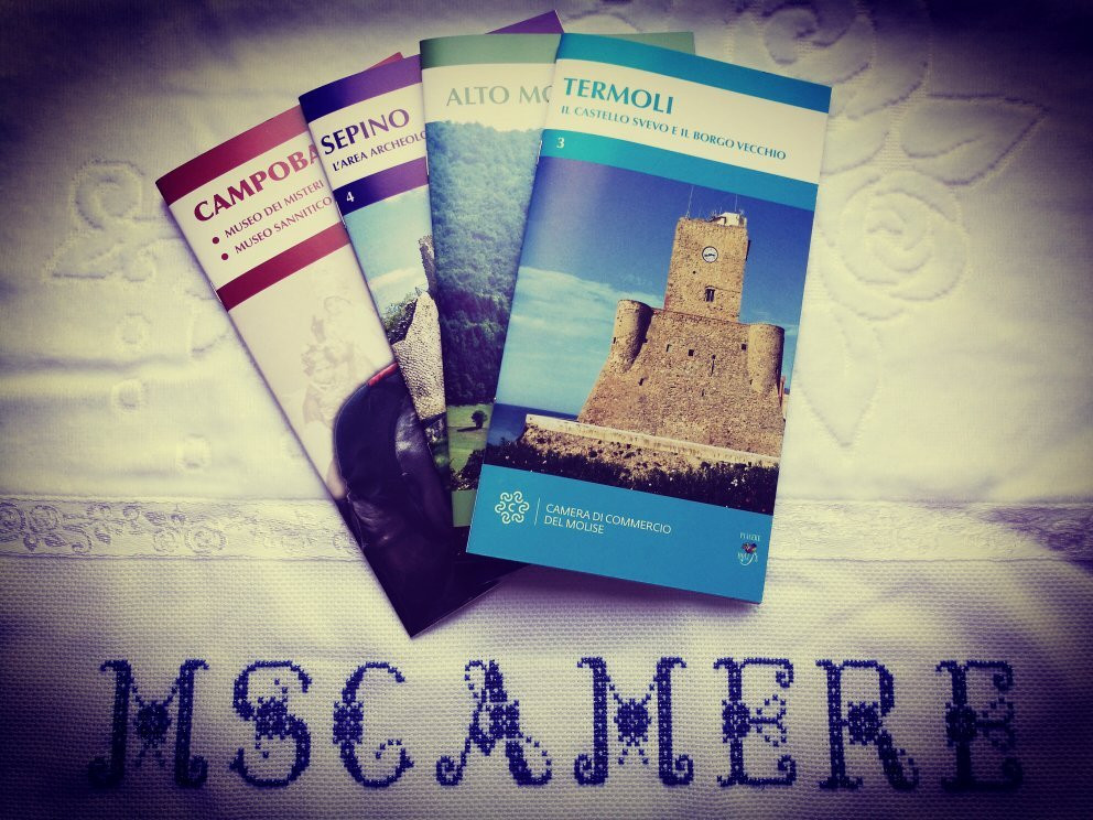 MSCamere
