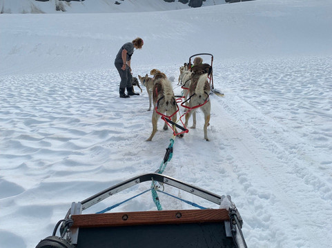 Alpine Air Alaska (Seward, AK)-苏厄德必去景点