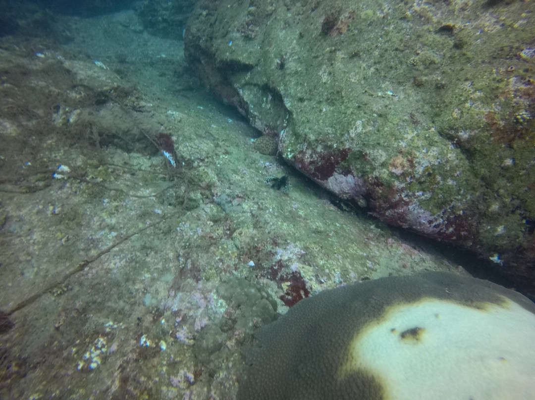 Divinguru Trincomalee-Trincomalee必去景点