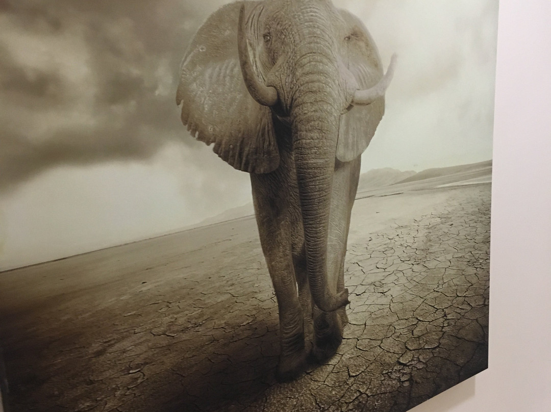 Hotel la City Mercado主图