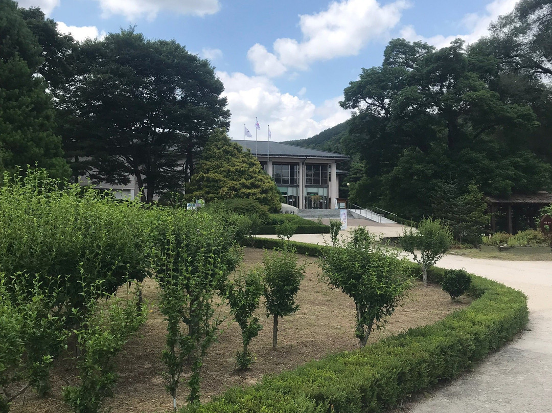 Korea National Arboretum-抱川市必去景点