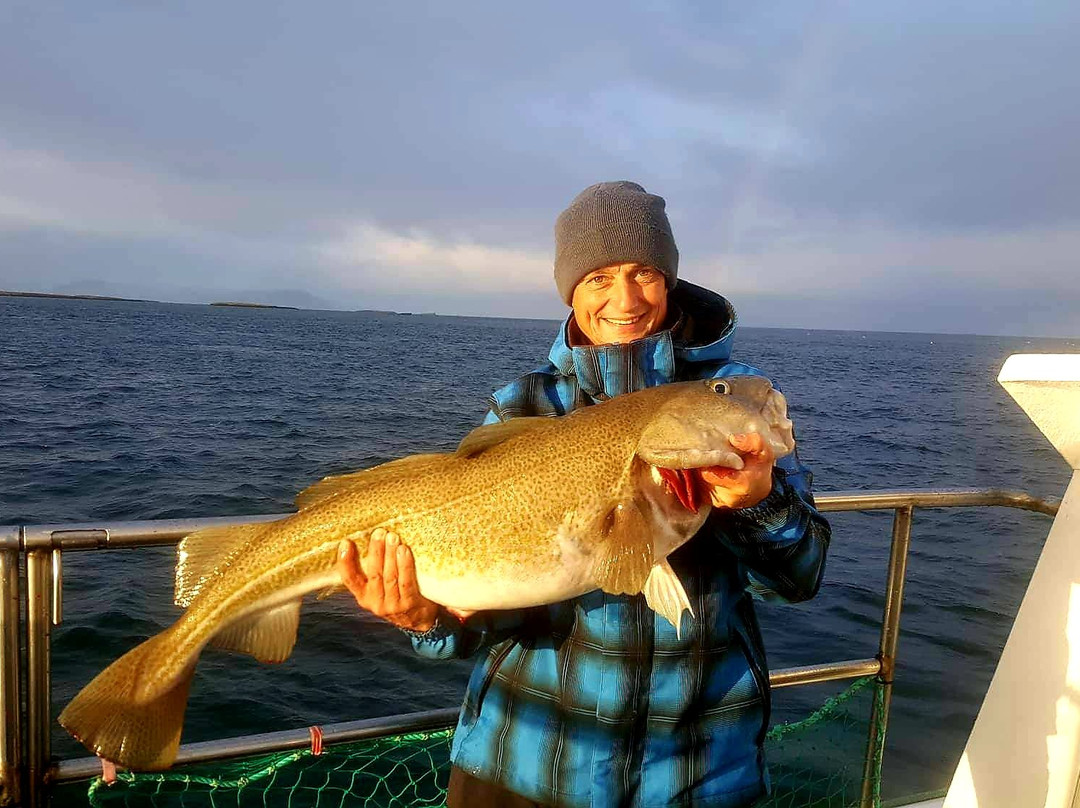 Ocean Adventures-Stykkisholmur必去景点
