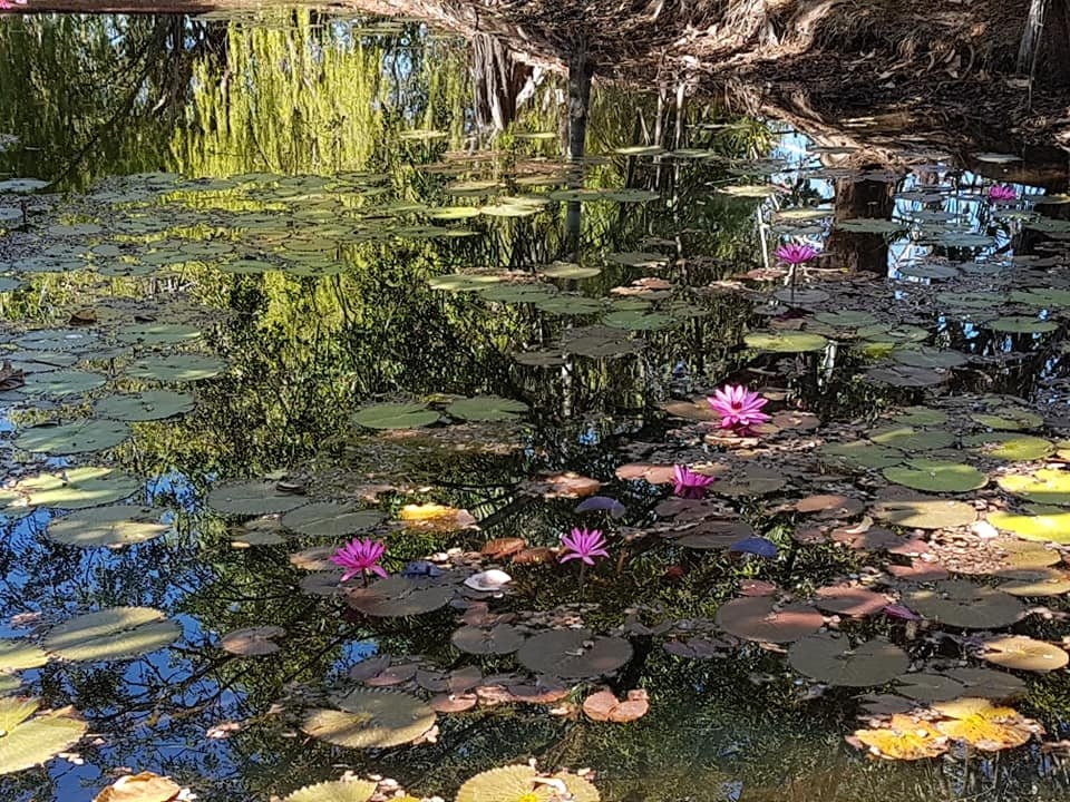 Pine Creek旅游攻略图片