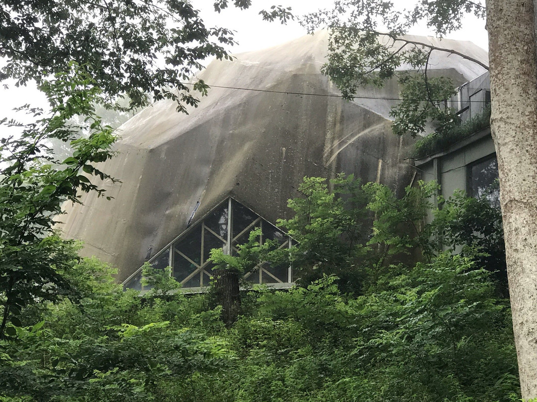 Treehouse Lodge主图