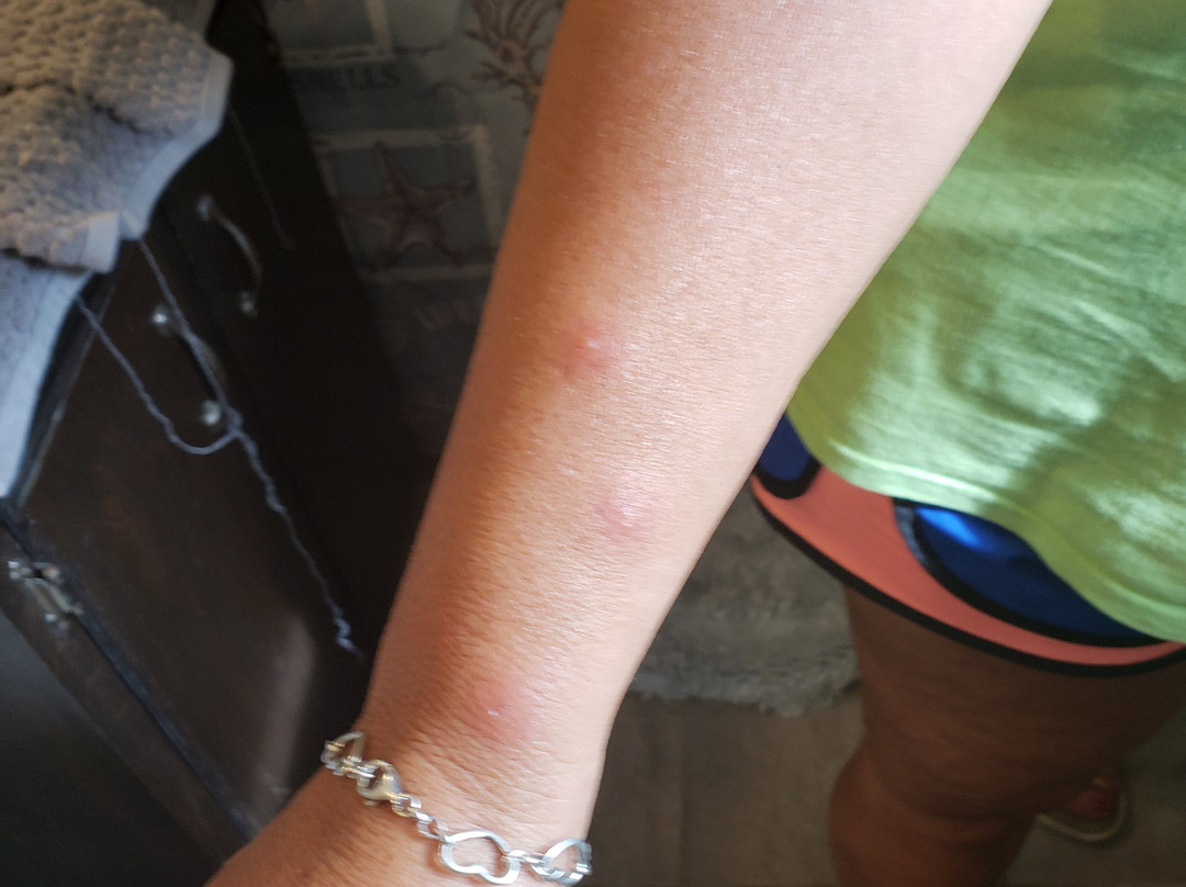 Hilton Garden Inn Dalton主图