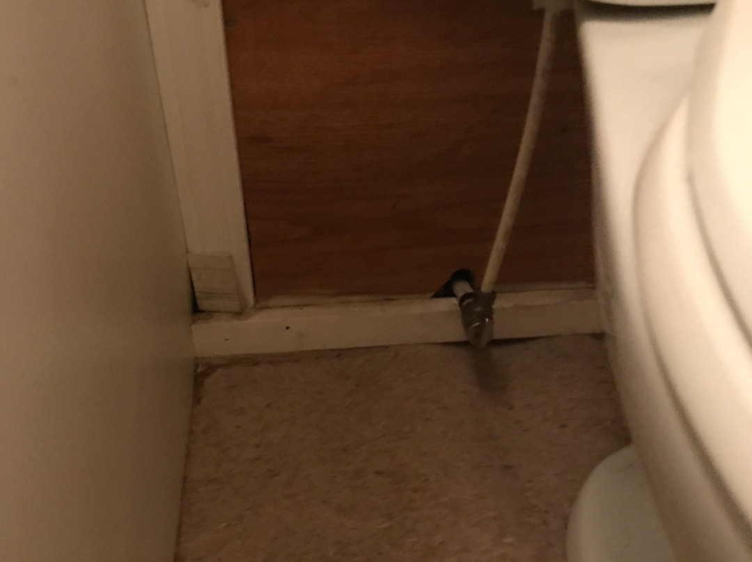 1202 Motor Inn主图