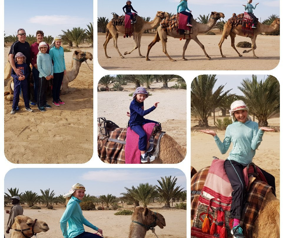 Swakopmund Camel Farm-斯瓦科普蒙德必去景点