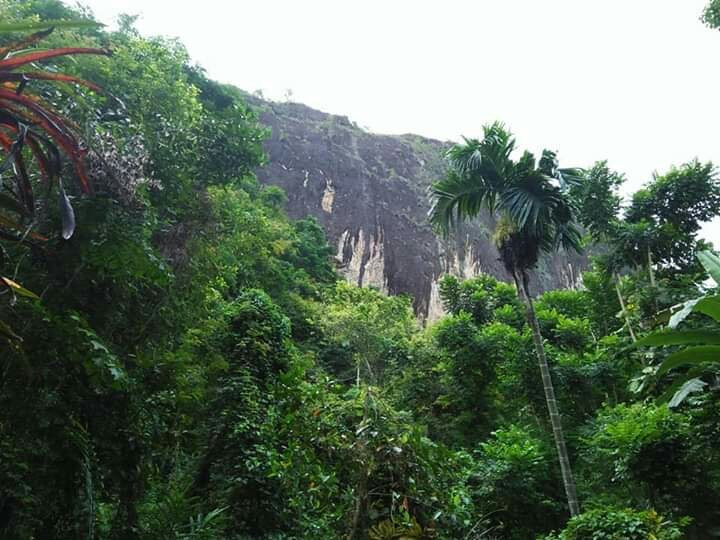 Fa Hien Caves-卡卢特勒必去景点