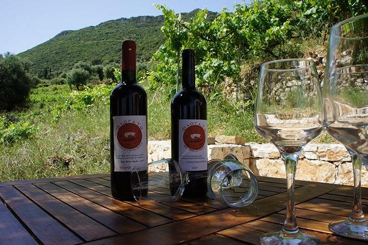 Ithaca Travel - Island Tours -Guided Walks-Vathy必去景点