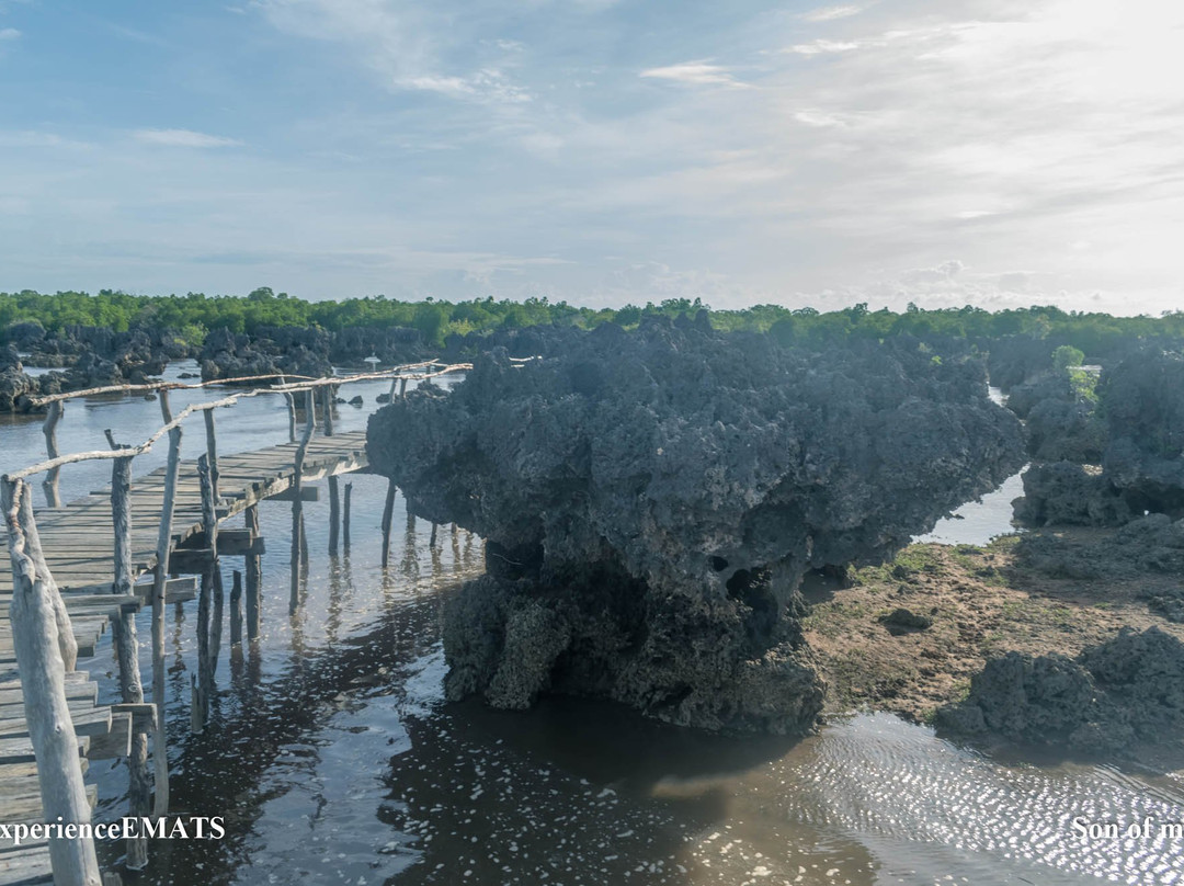 Wasini Womens Group Boardwalk-Wasini Island必去景点
