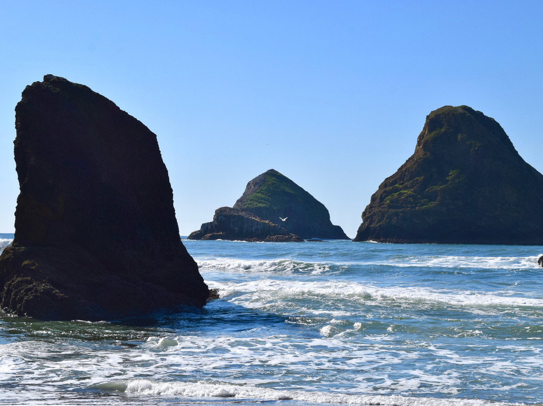 Oceanside Beach State Recreation Site景点图片