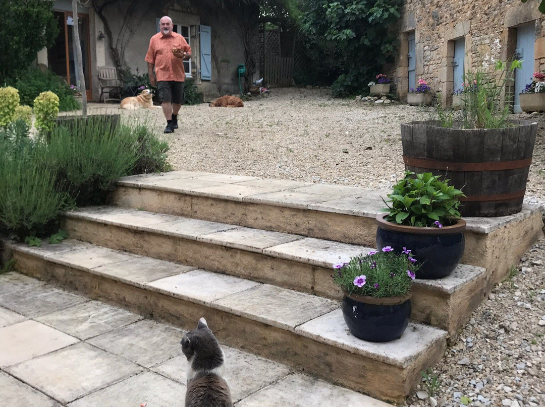 Mas de Flory Bed & Breakfast主图