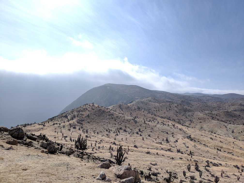 Cactus Explora-Caldera必去景点