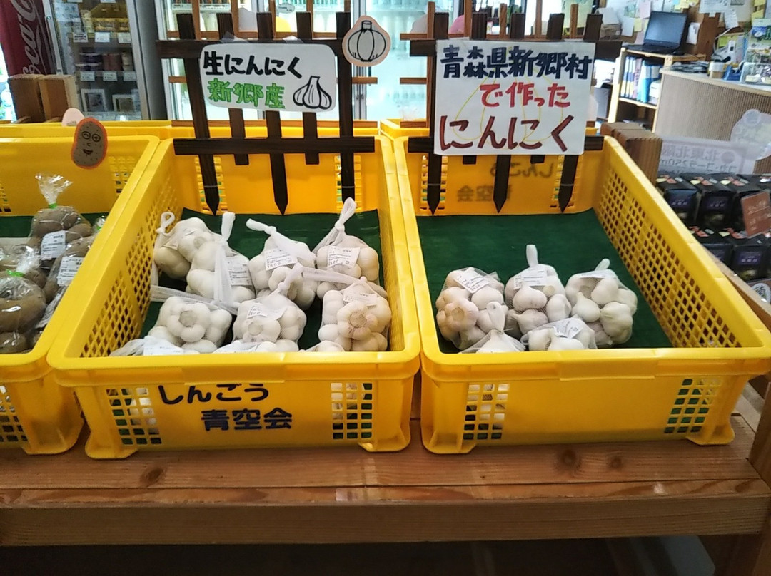 Michi-no-Eki Shingo - Makinotaira Green Park-新乡村必去景点