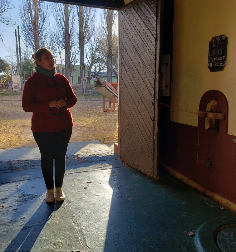 La Vieja Bodega-圣拉斐尔必去景点