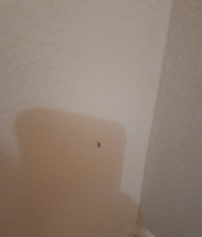 Hotel Águalinda主图