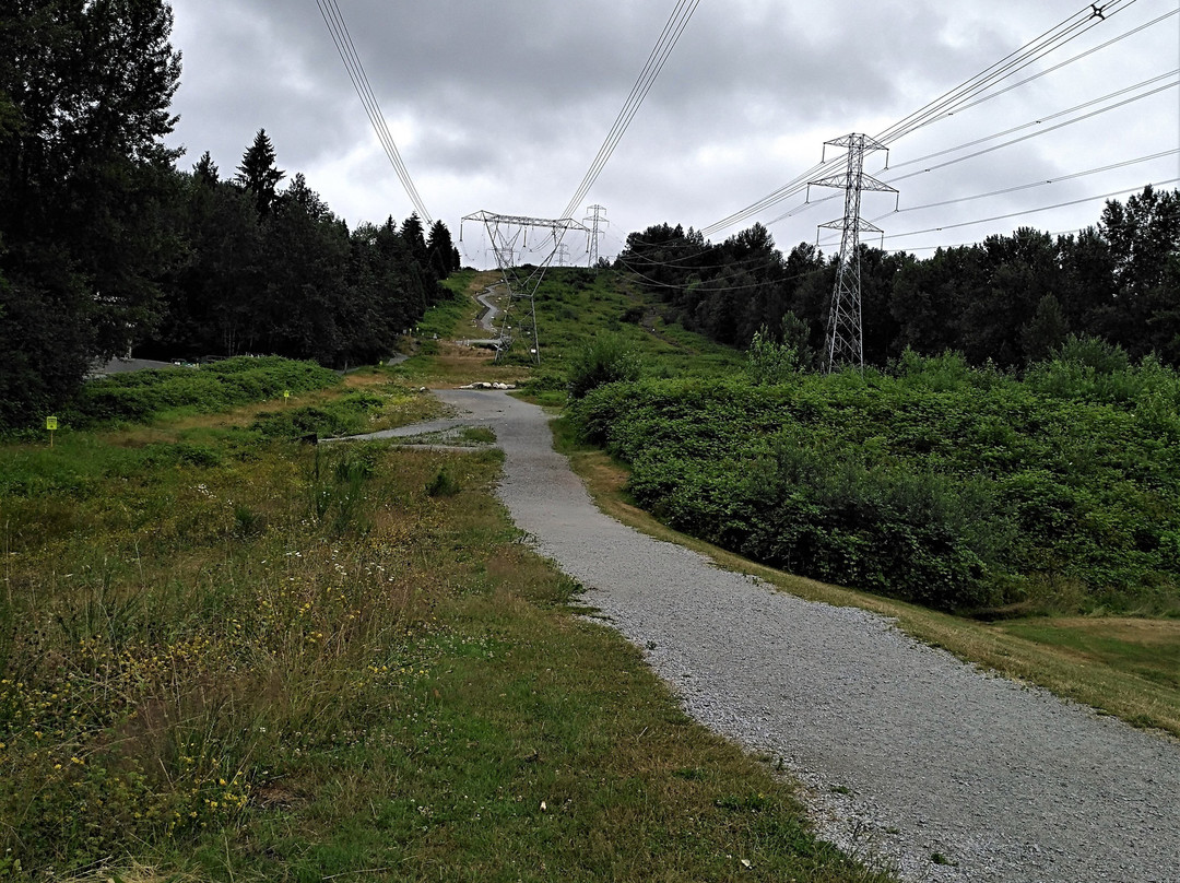Coquitlam Crunch Trail景点图片