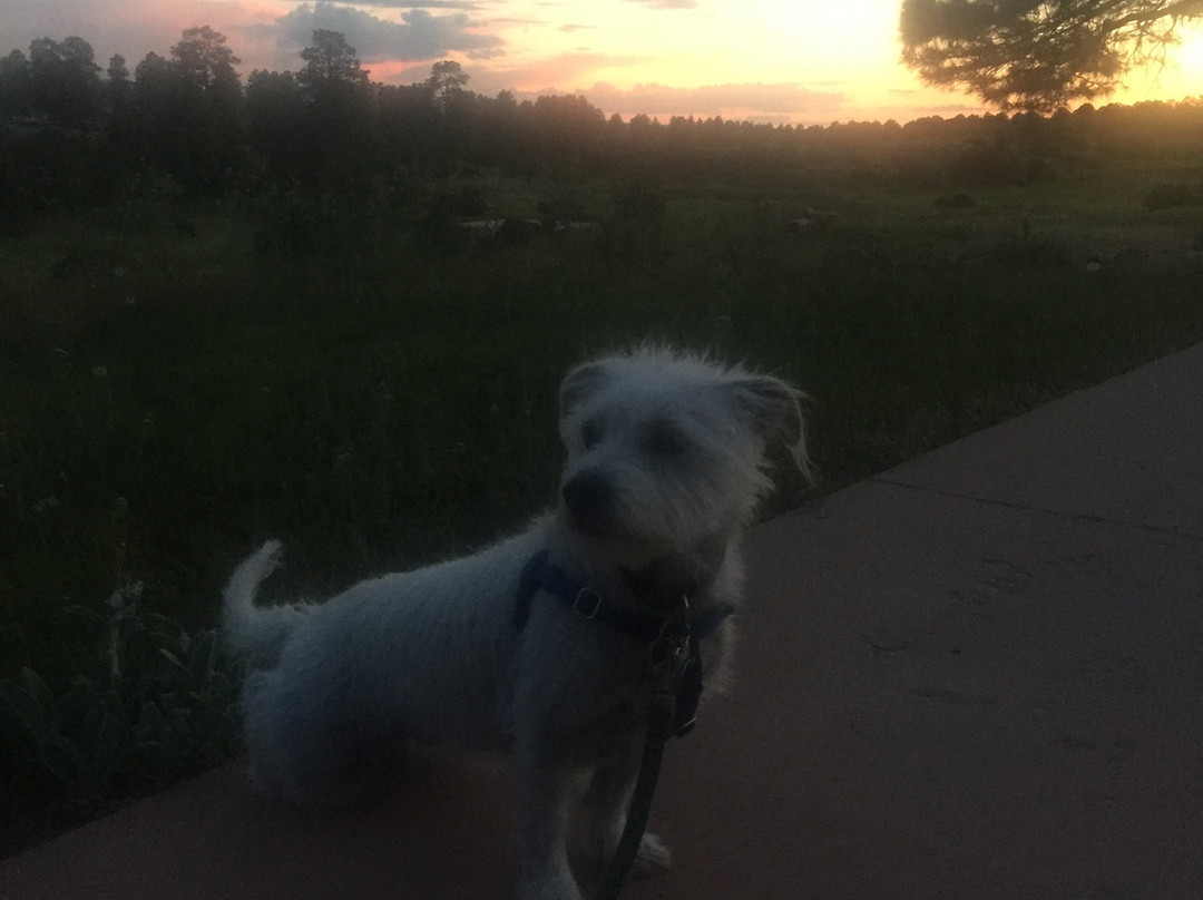 Sophia Retreat & Event Center主图