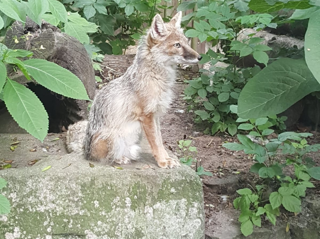 Tierpark Stralsund-施特拉尔松德必去景点